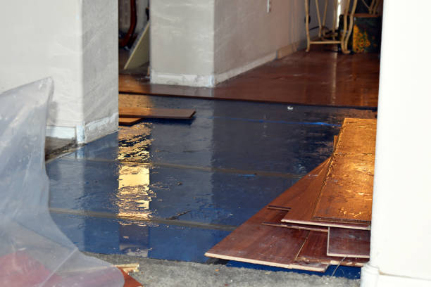 Professional Sewage Cleanup technician working in Irons, MI
